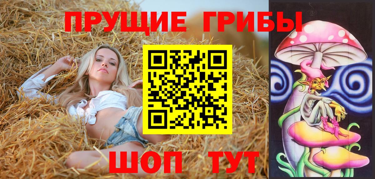 Кинель  Галлюциногенные грибы ЛСД  Вход с VPN 
