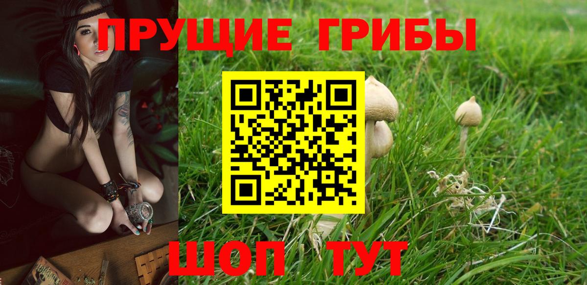 Галлюциногенные грибы прущие грибы Кинель